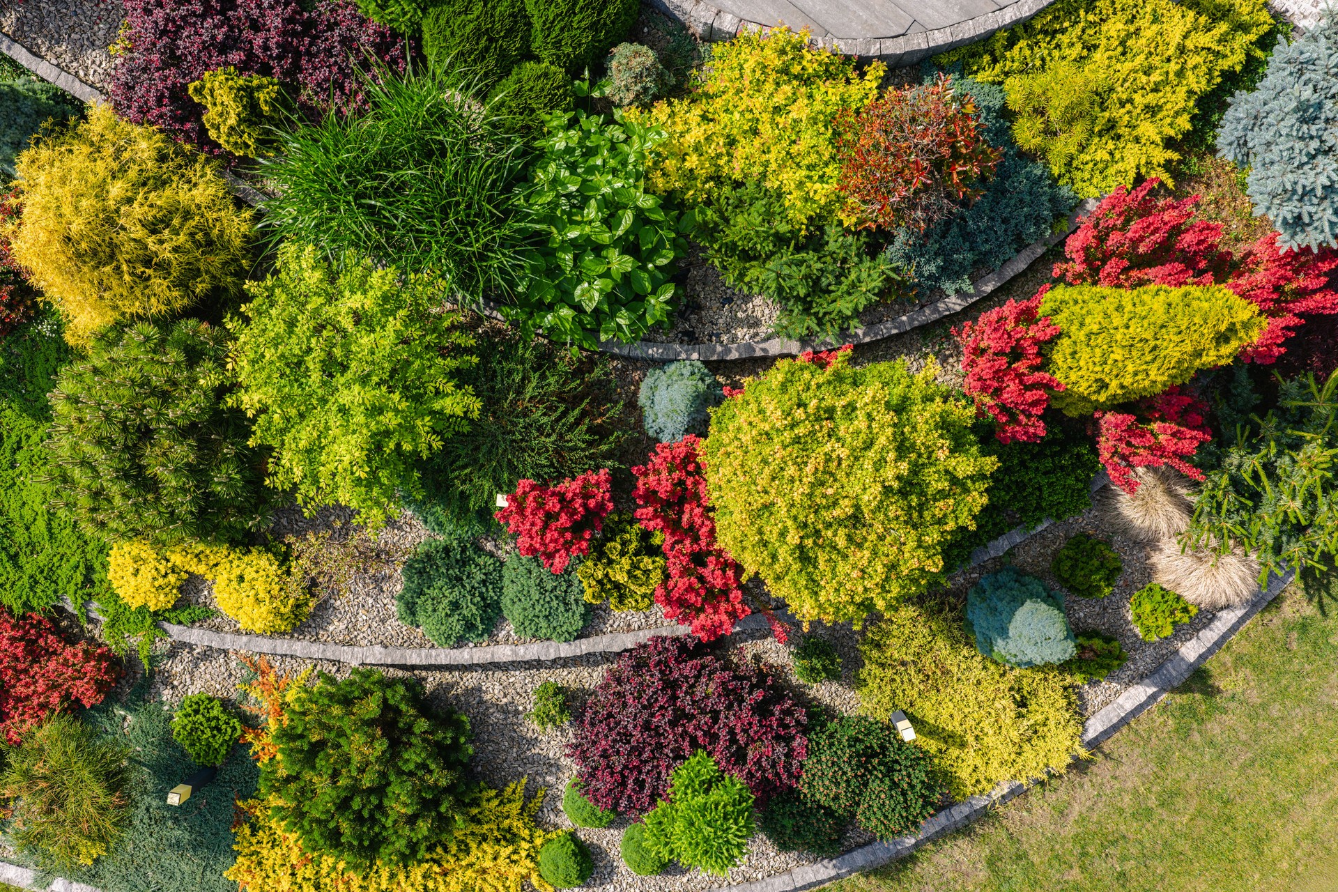 Vibrant Garden Design Showcasing Diverse Plant Life in a Well-Maintained Landscape
