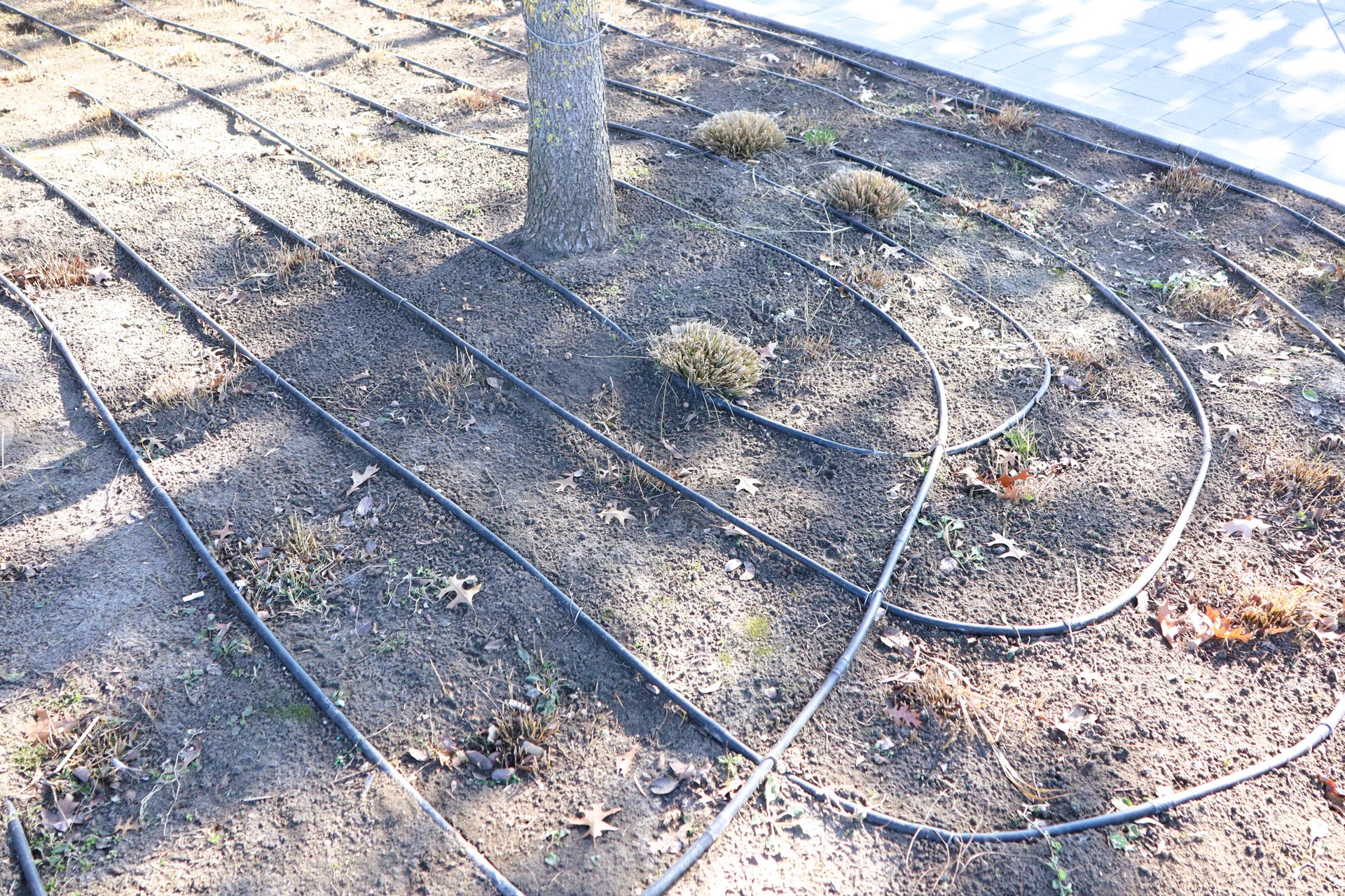 The layout of an irrigation system is crucial in effective landscaping design and maintenance