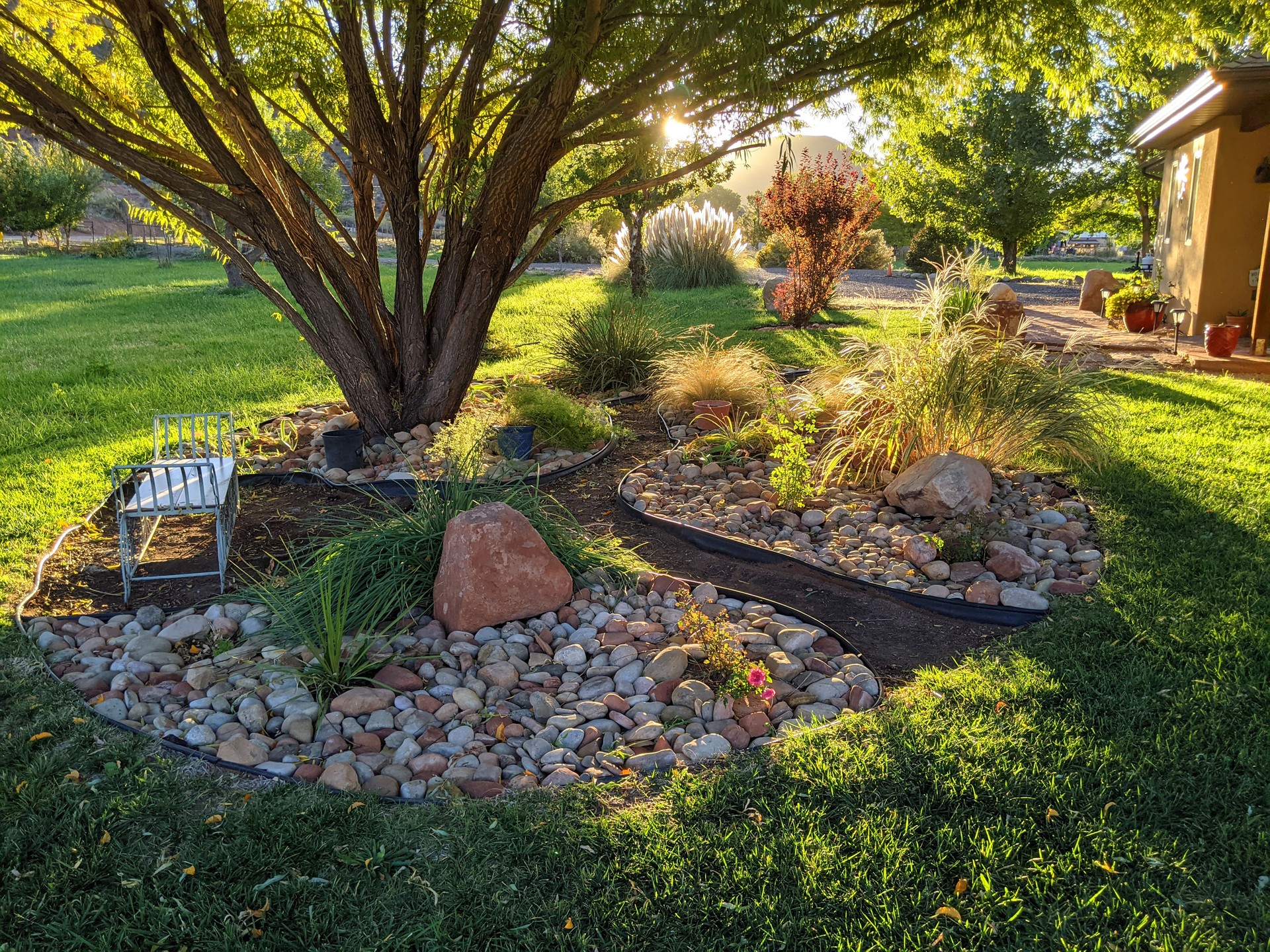 Rock garden and backlit Willow tree in Rockville Utah