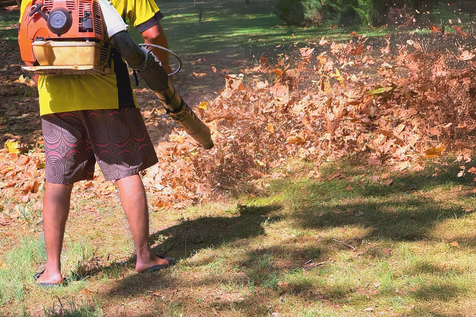 Cleaning leaves with blower in park. Worker using leaf blower to clear autumn leaves in public park during daylight. Concept of leaf cleanup, seasonal maintenance