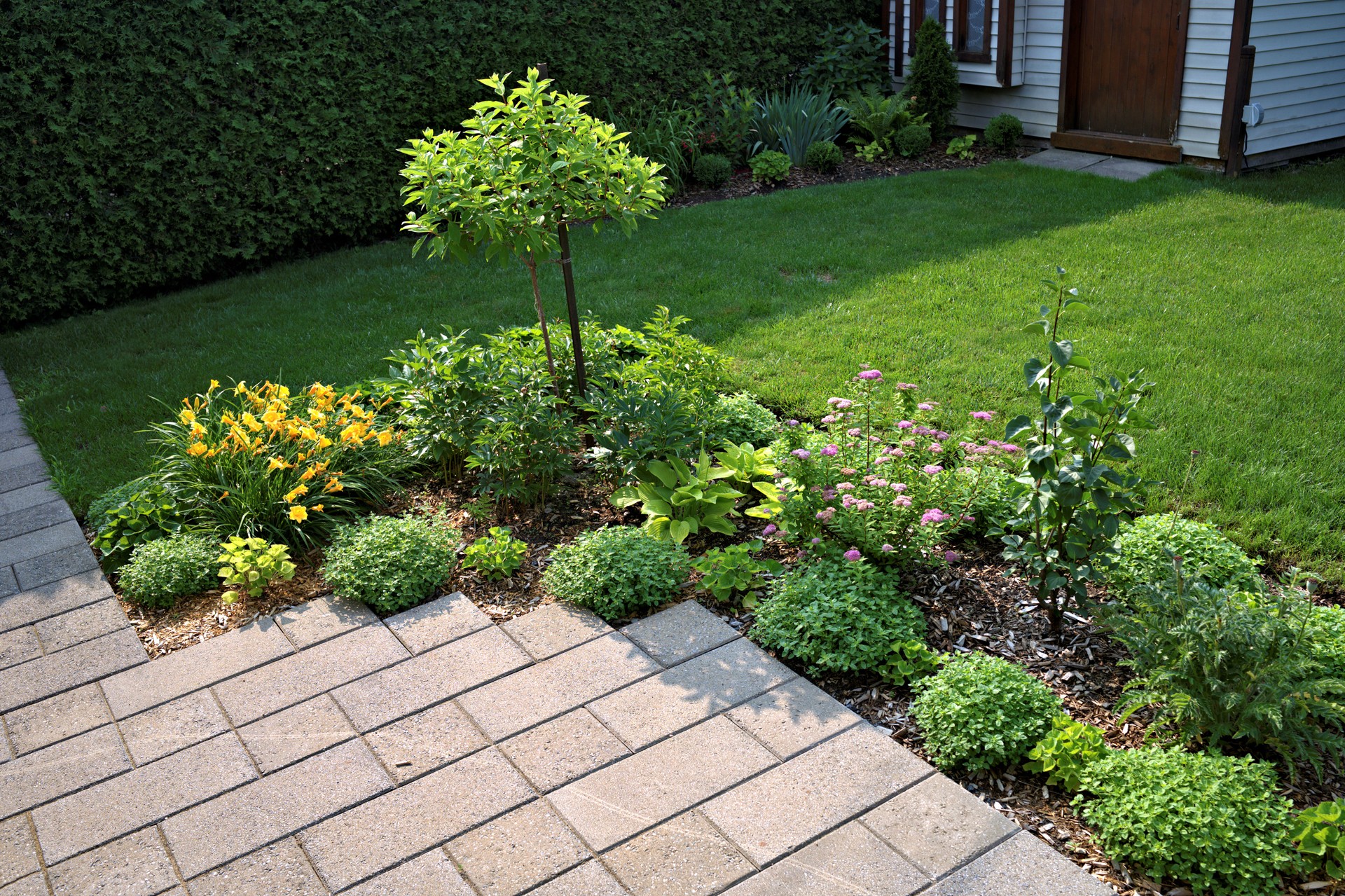 Landscaped Garden Design