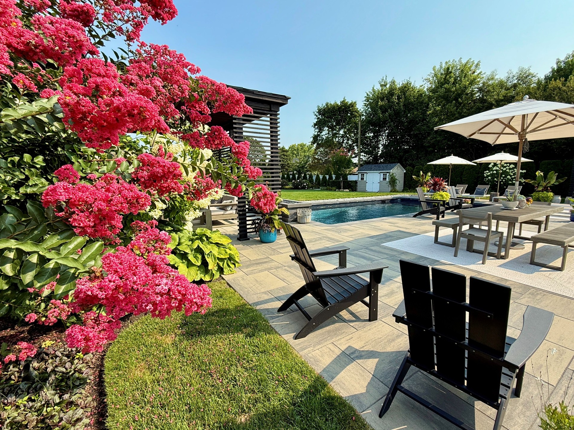 Gorgeous sunny outdoor poolside living backyard area. enclosed pergola pavilion, sofa, chair, rug, bar.  patio pavers.