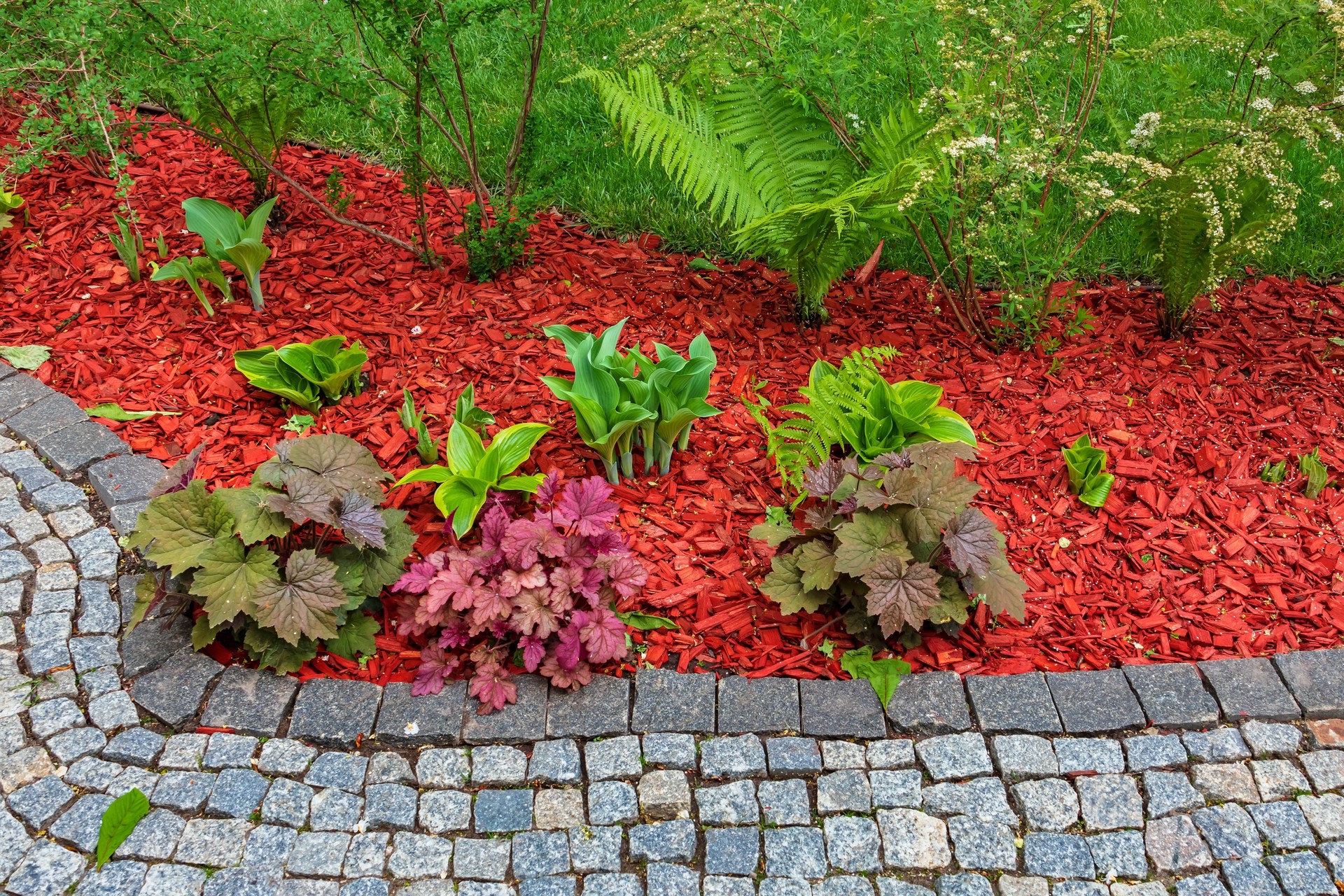 Flowerbed with red mulch under plants near stone path in garden